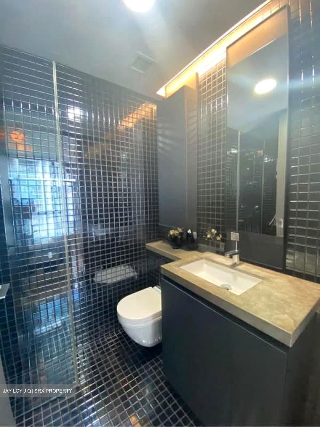 Skysuites@Anson (D2), Apartment #584123591